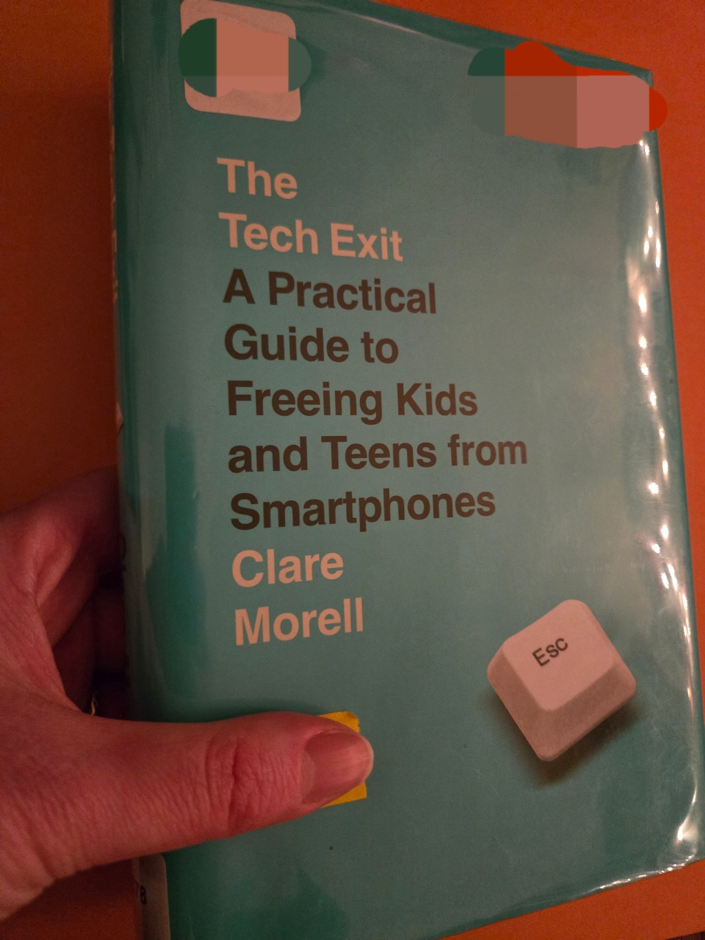 The Friday Review: The Tech Exit